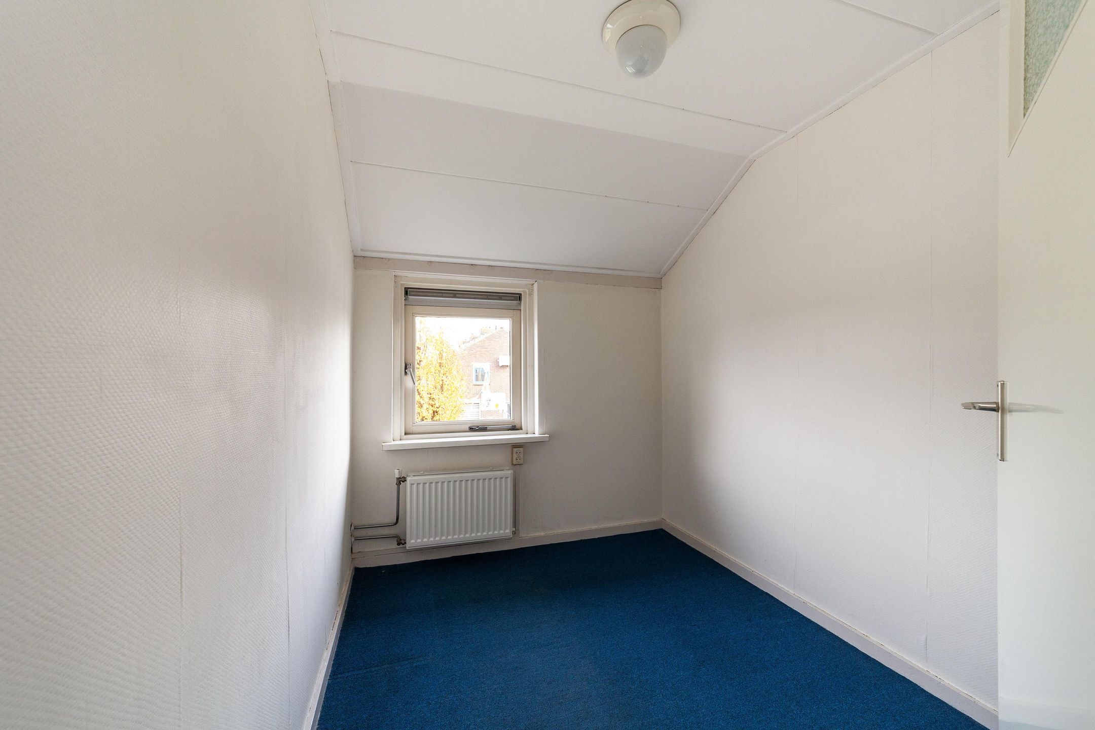 Photo 15 of Hosterd 30