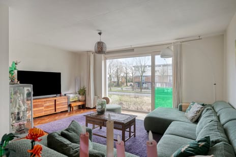 Gele Plomp 16 tertiary image