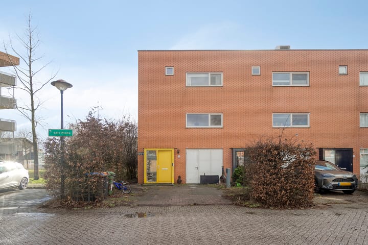 Foto 4 van Gele Plomp 16