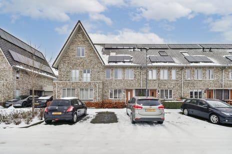 undefined main image