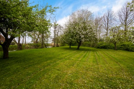 Rondweg-Noord 17 secondary image