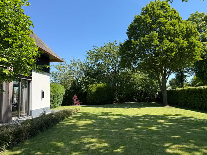 Photo 4 of Loostraat 52