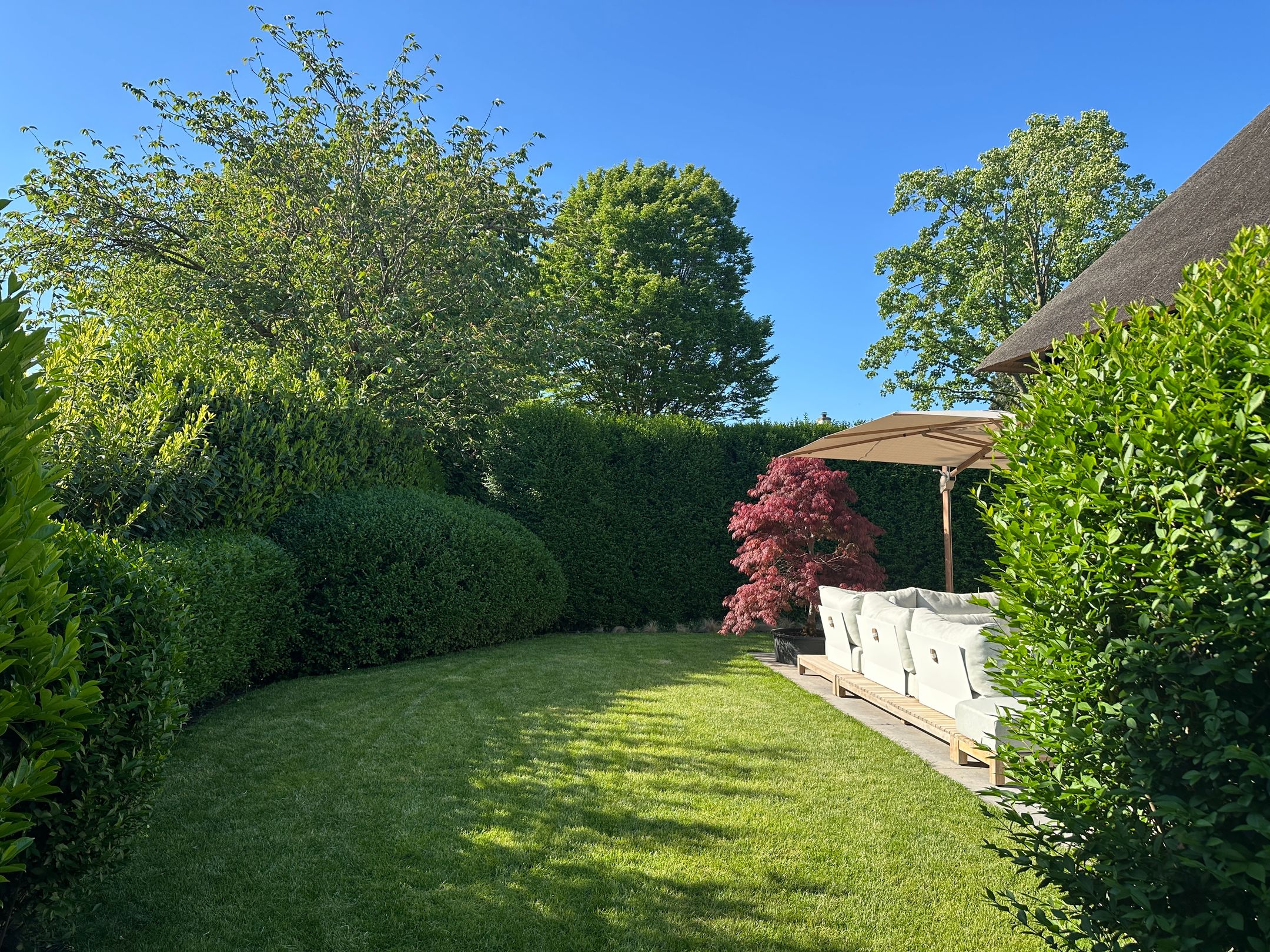 Photo 6 of Loostraat 52