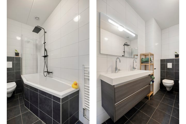 Foto 3 van Zanglijster 58