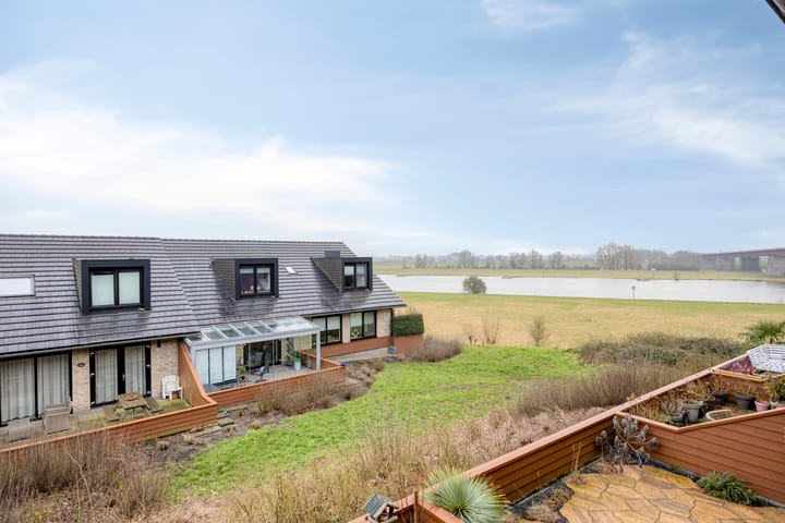 Foto 4 van Zanglijster 58