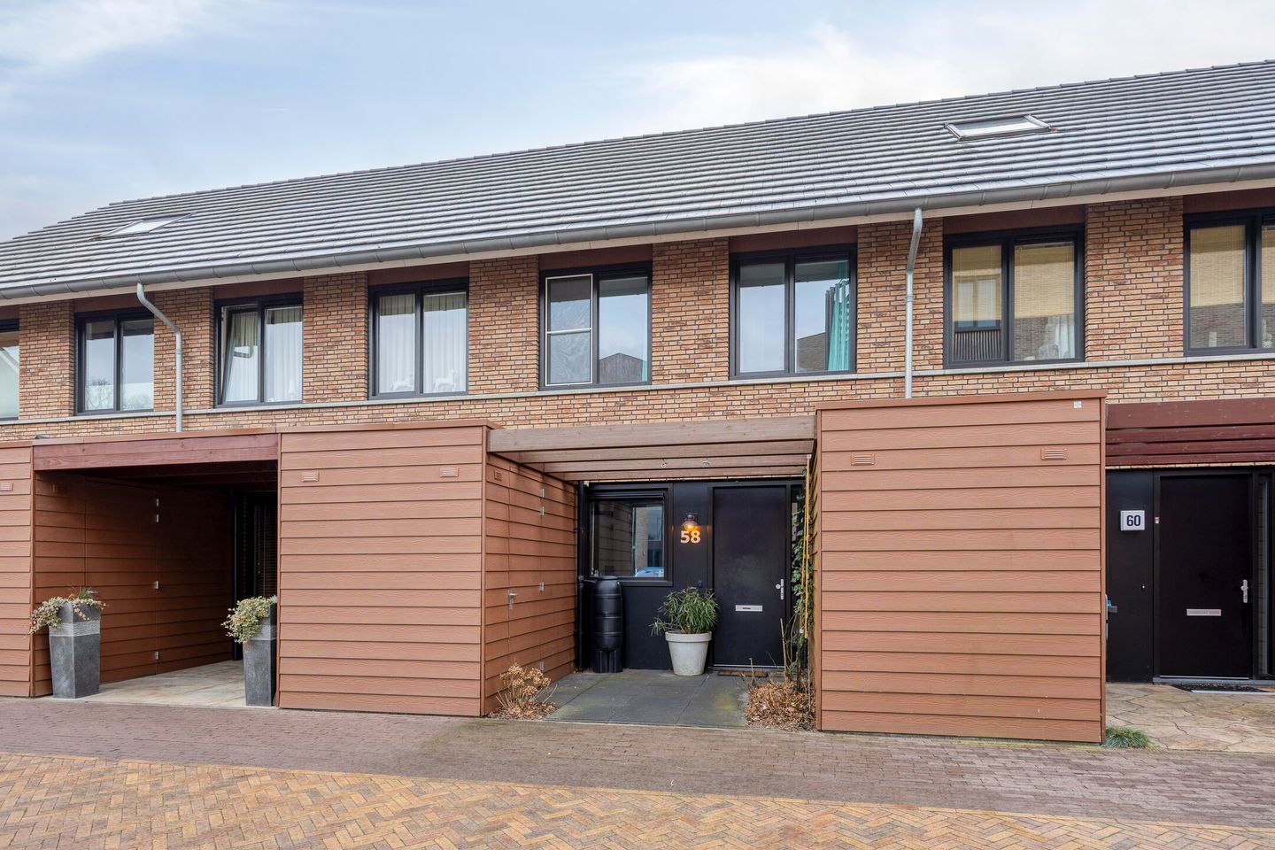 Photo 5 of Zanglijster 58