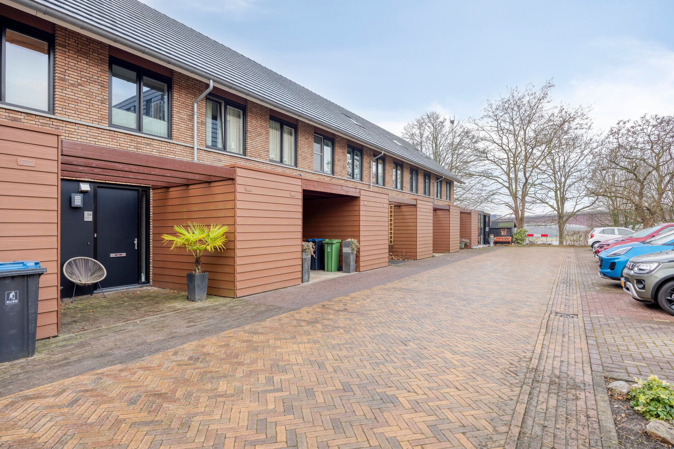 Photo 6 of Zanglijster 58