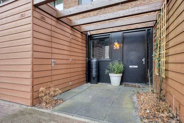 Foto 7 van Zanglijster 58