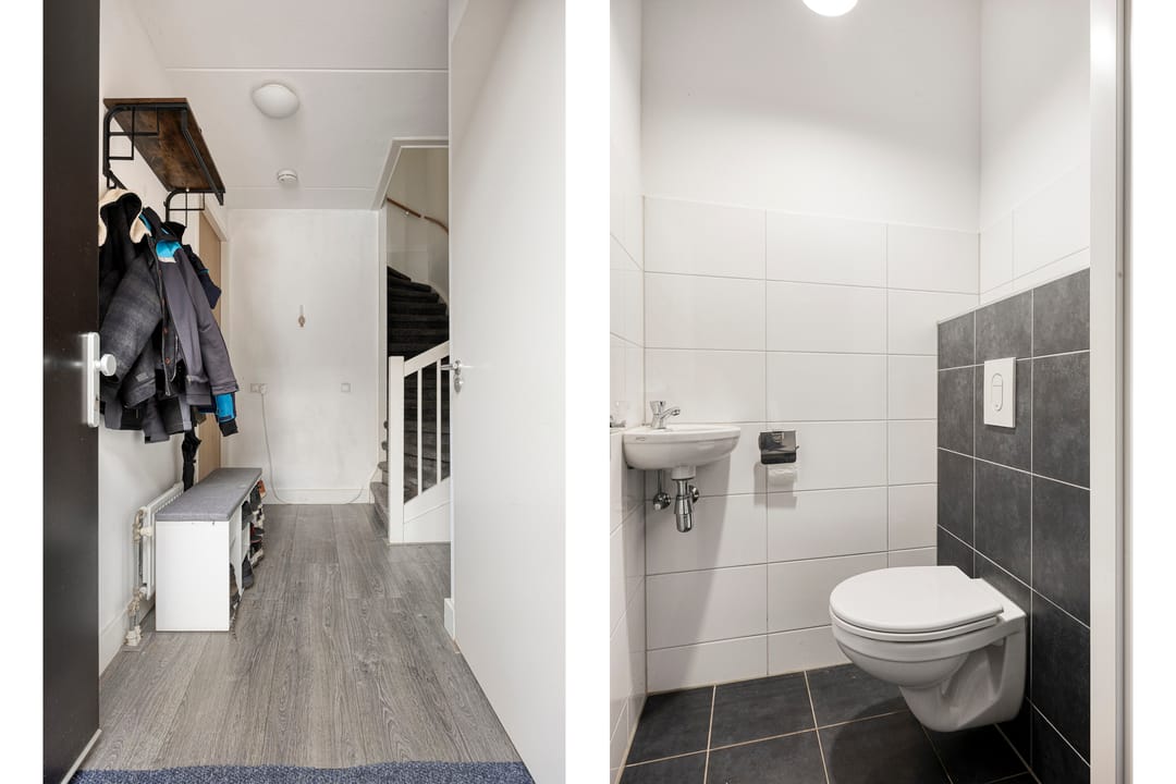 Photo 8 of Zanglijster 58