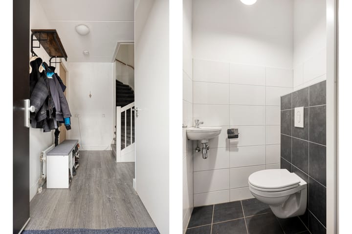 Foto 8 van Zanglijster 58