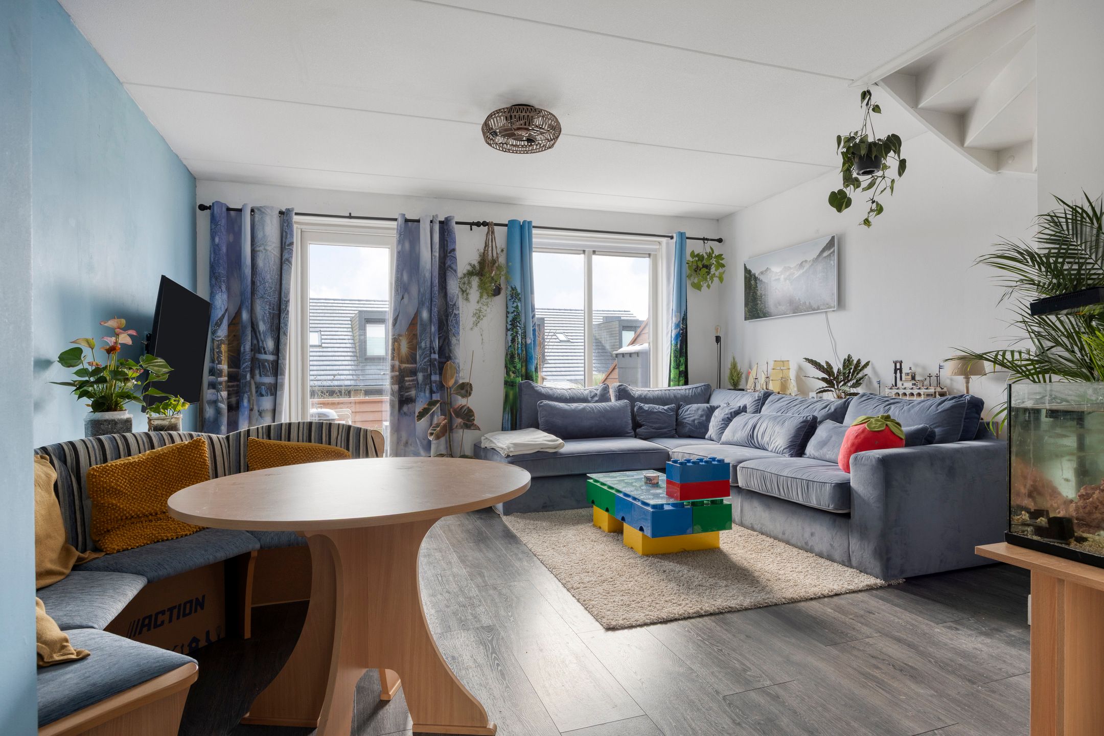 Photo 9 of Zanglijster 58