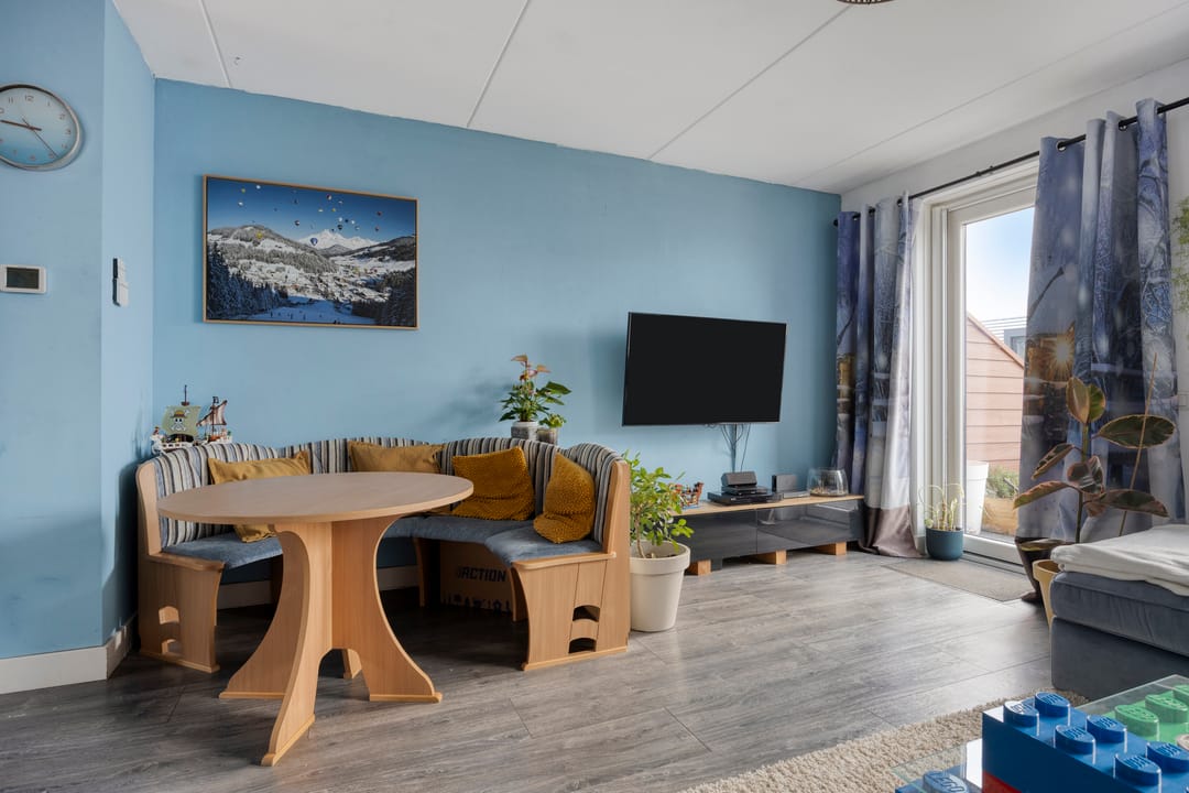 Photo 11 of Zanglijster 58