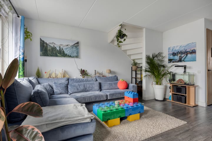 Foto 12 van Zanglijster 58