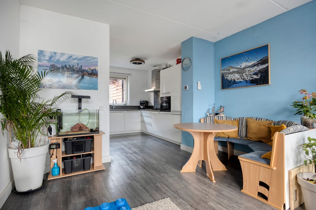 Photo 13 of Zanglijster 58