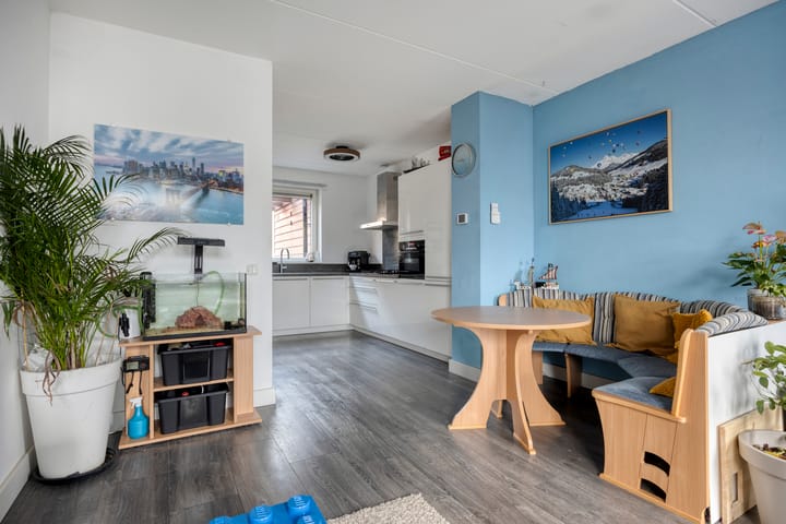 Foto 13 van Zanglijster 58