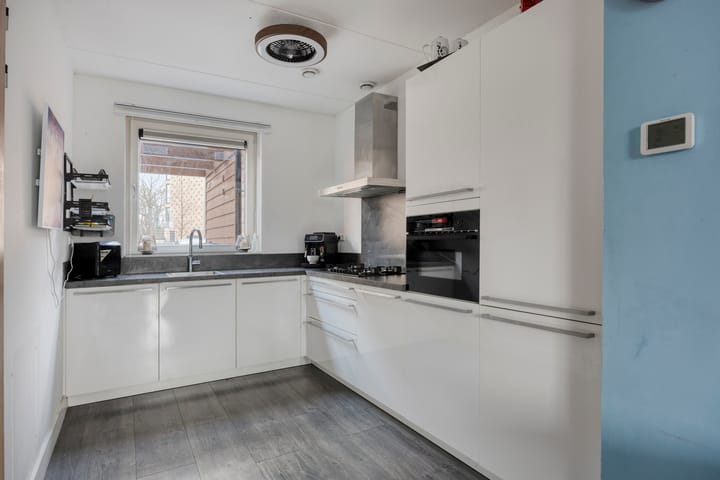 Foto 14 van Zanglijster 58