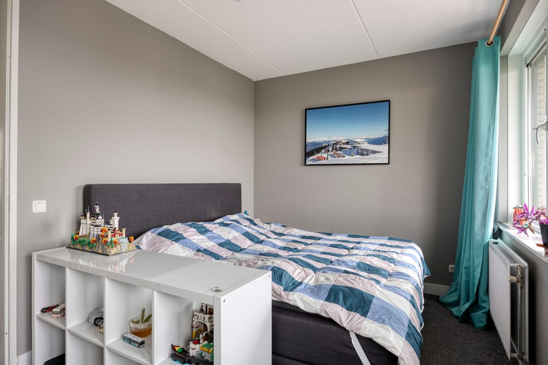 Photo 16 of Zanglijster 58