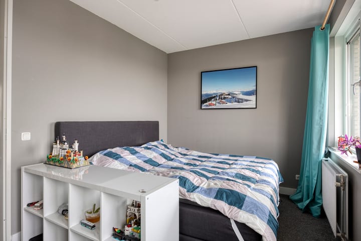 Foto 16 van Zanglijster 58