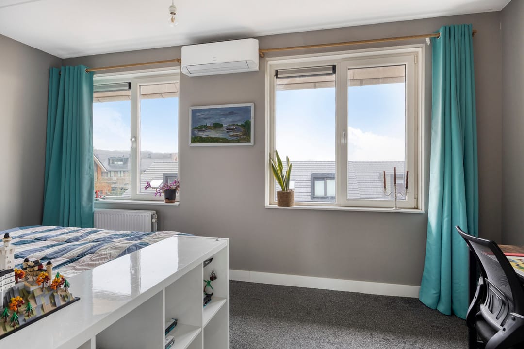 Photo 17 of Zanglijster 58