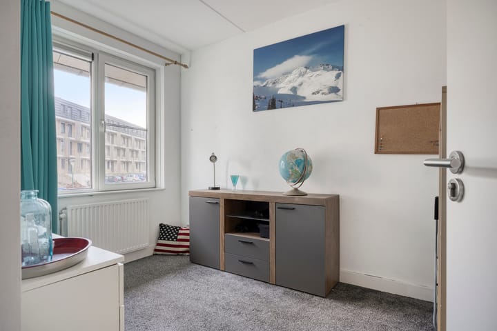 Foto 19 van Zanglijster 58