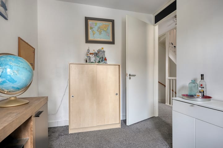 Foto 20 van Zanglijster 58