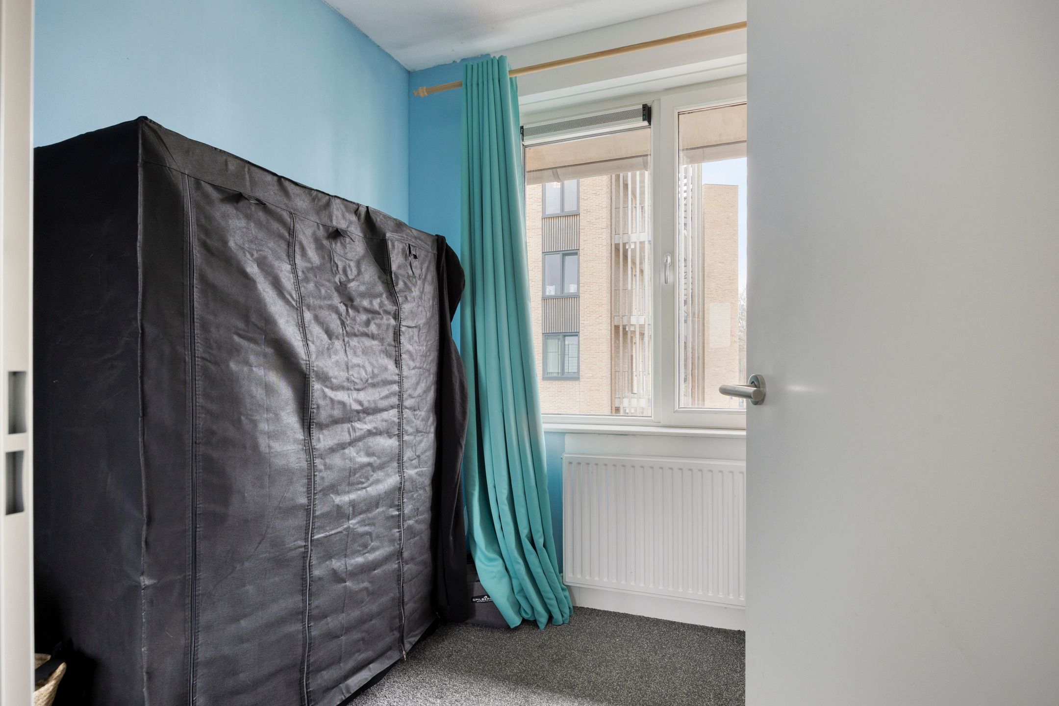 Photo 21 of Zanglijster 58