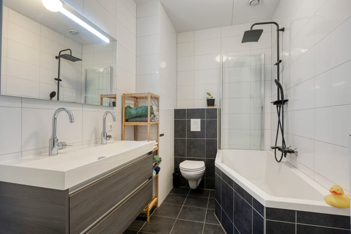 Foto 22 van Zanglijster 58