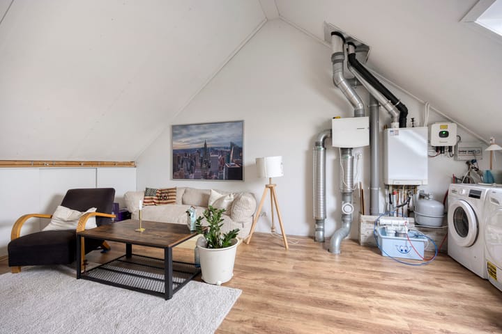 Foto 24 van Zanglijster 58