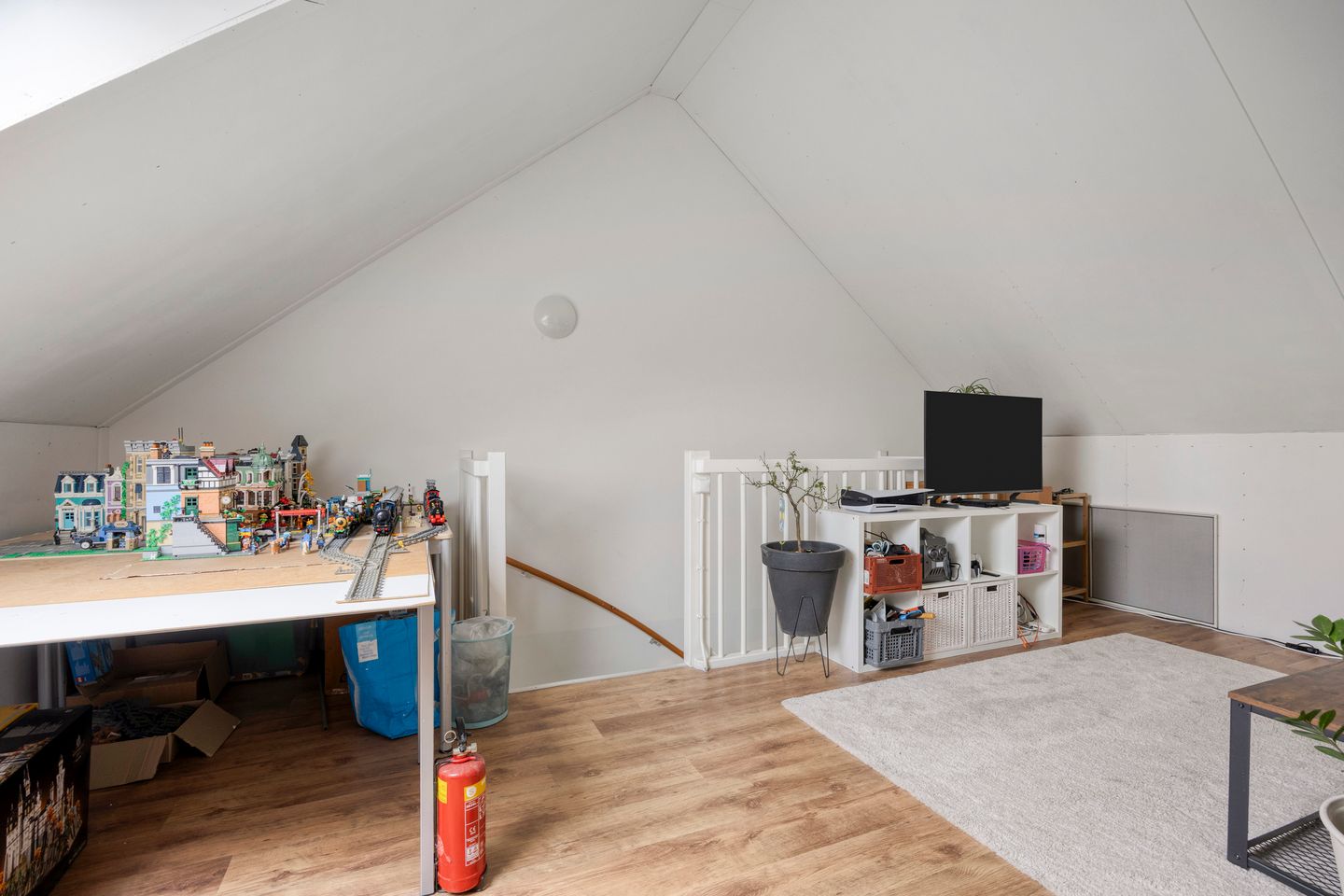 Photo 25 of Zanglijster 58