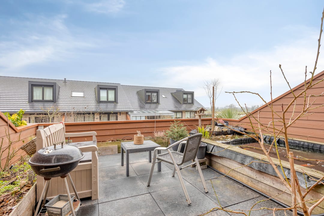 Photo 26 of Zanglijster 58