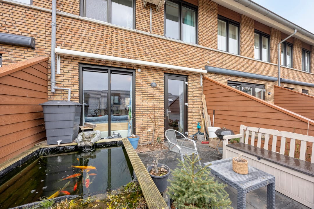 Photo 28 of Zanglijster 58