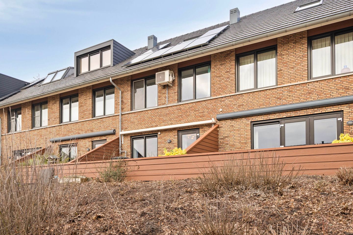 Photo 29 of Zanglijster 58