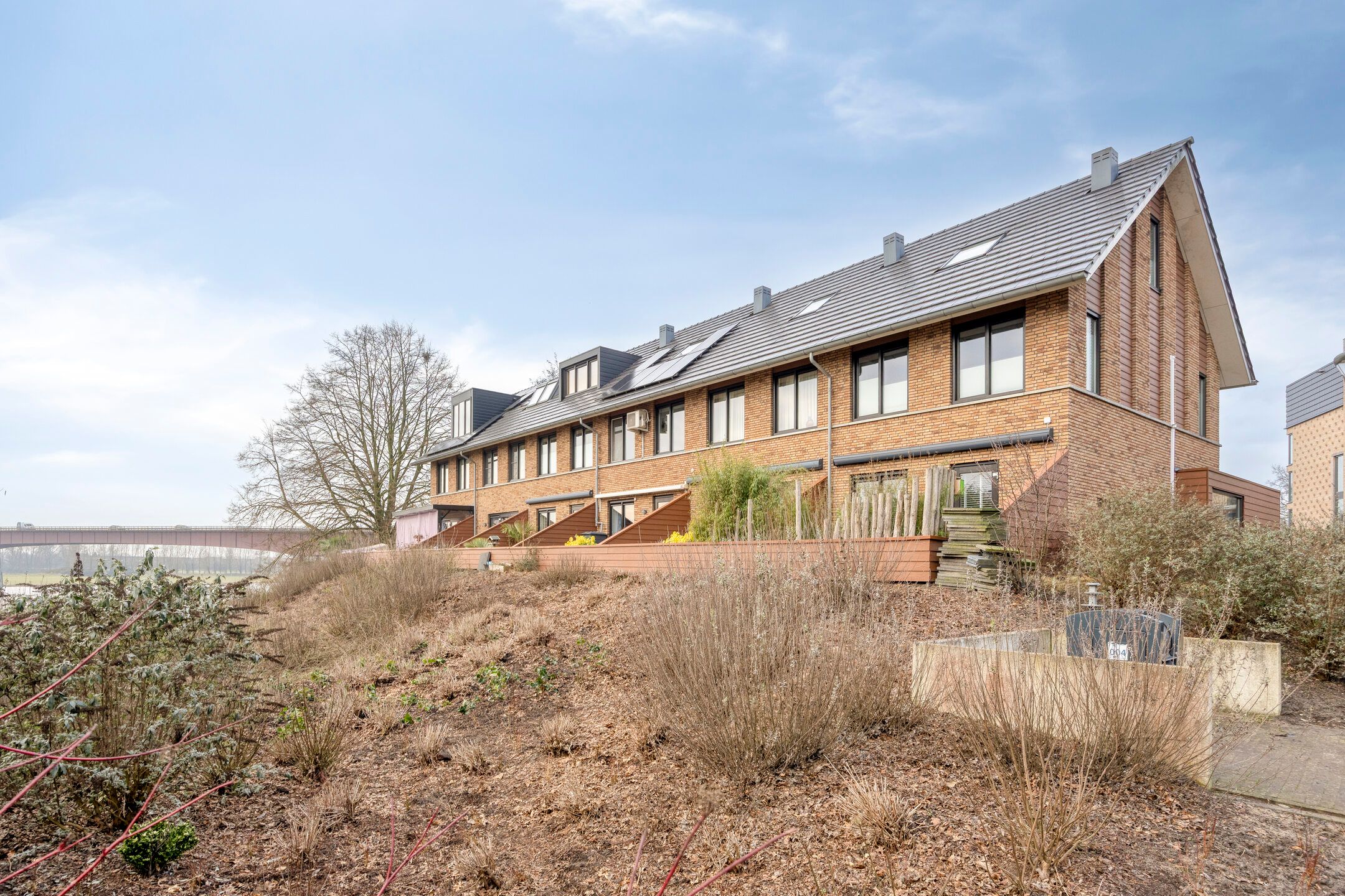 Photo 30 of Zanglijster 58