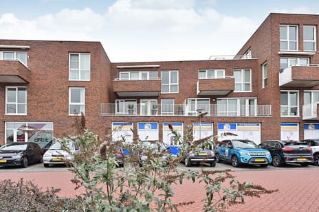 undefined main image