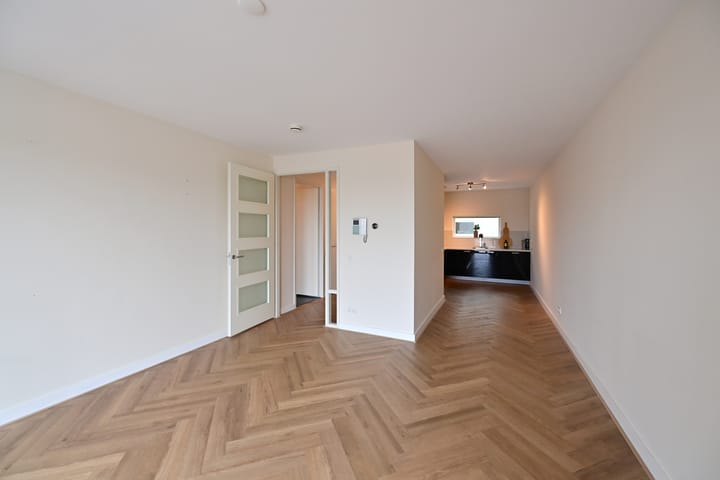 Photo 4 of Duiker 63