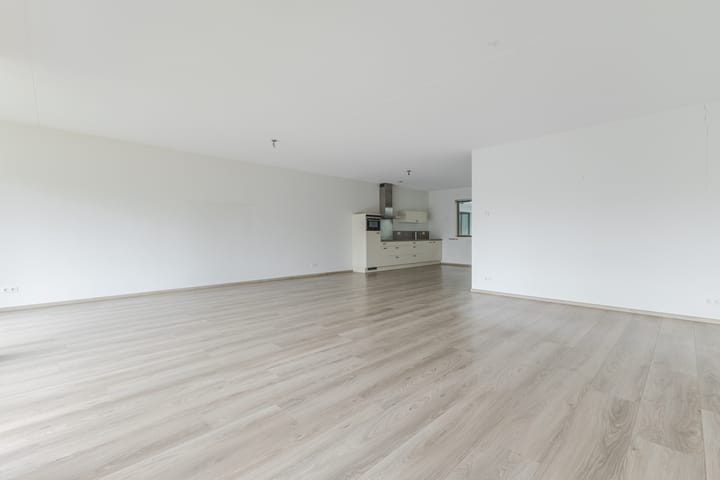 Foto 3 van Jan Wilshof 37