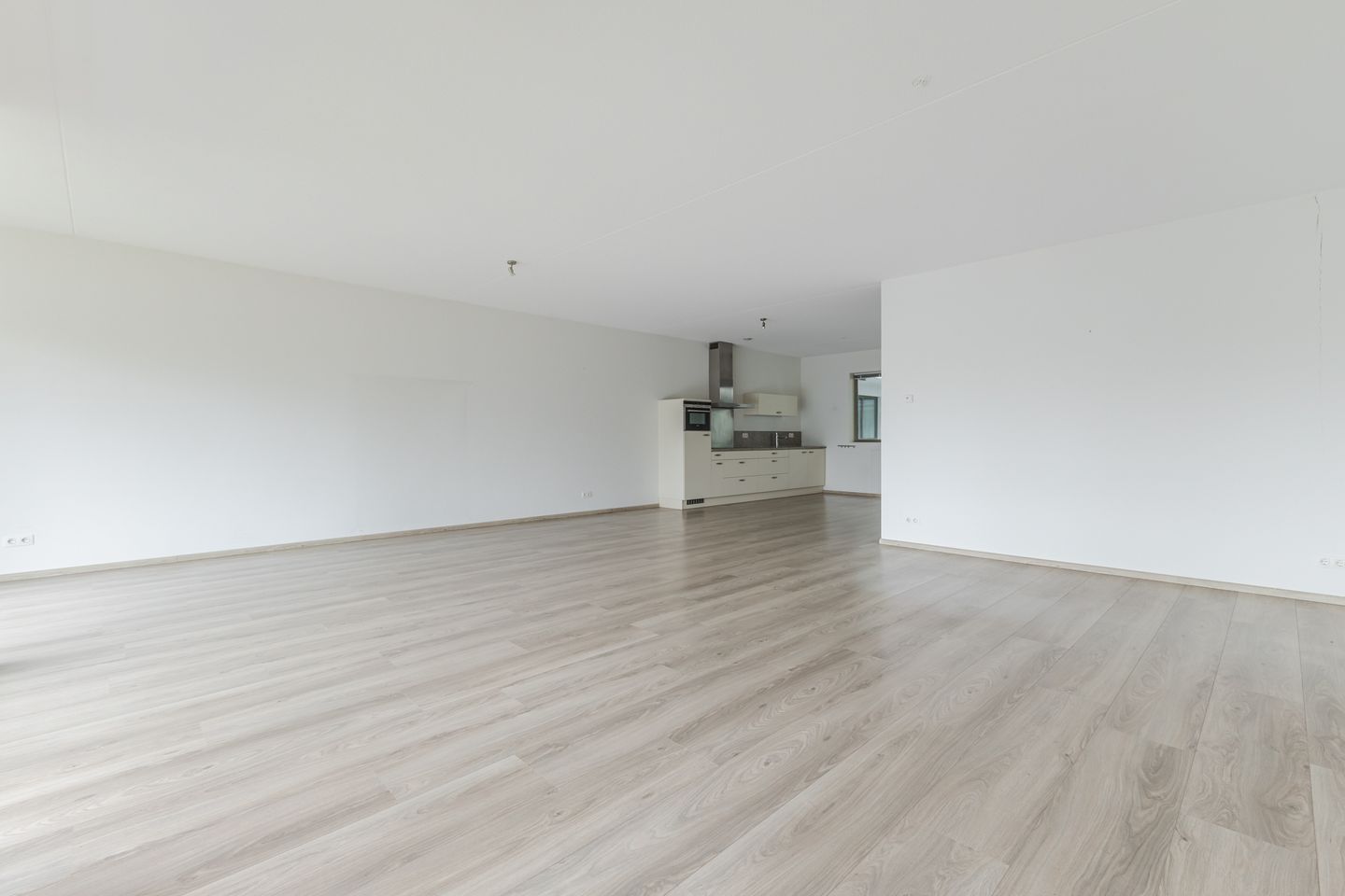 Foto 10 van Jan Wilshof 37