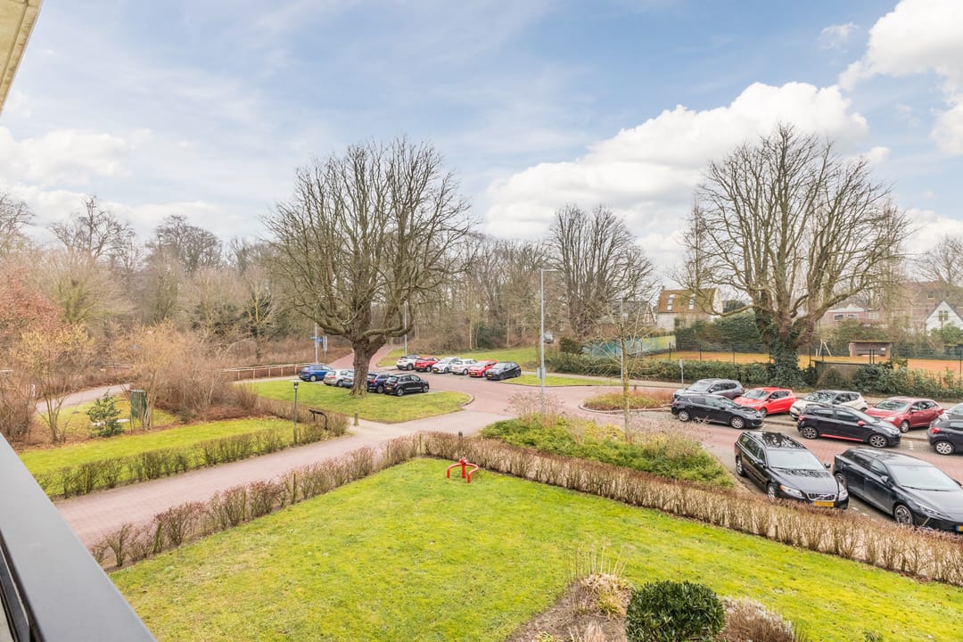 Foto 31 van Jan Wilshof 37