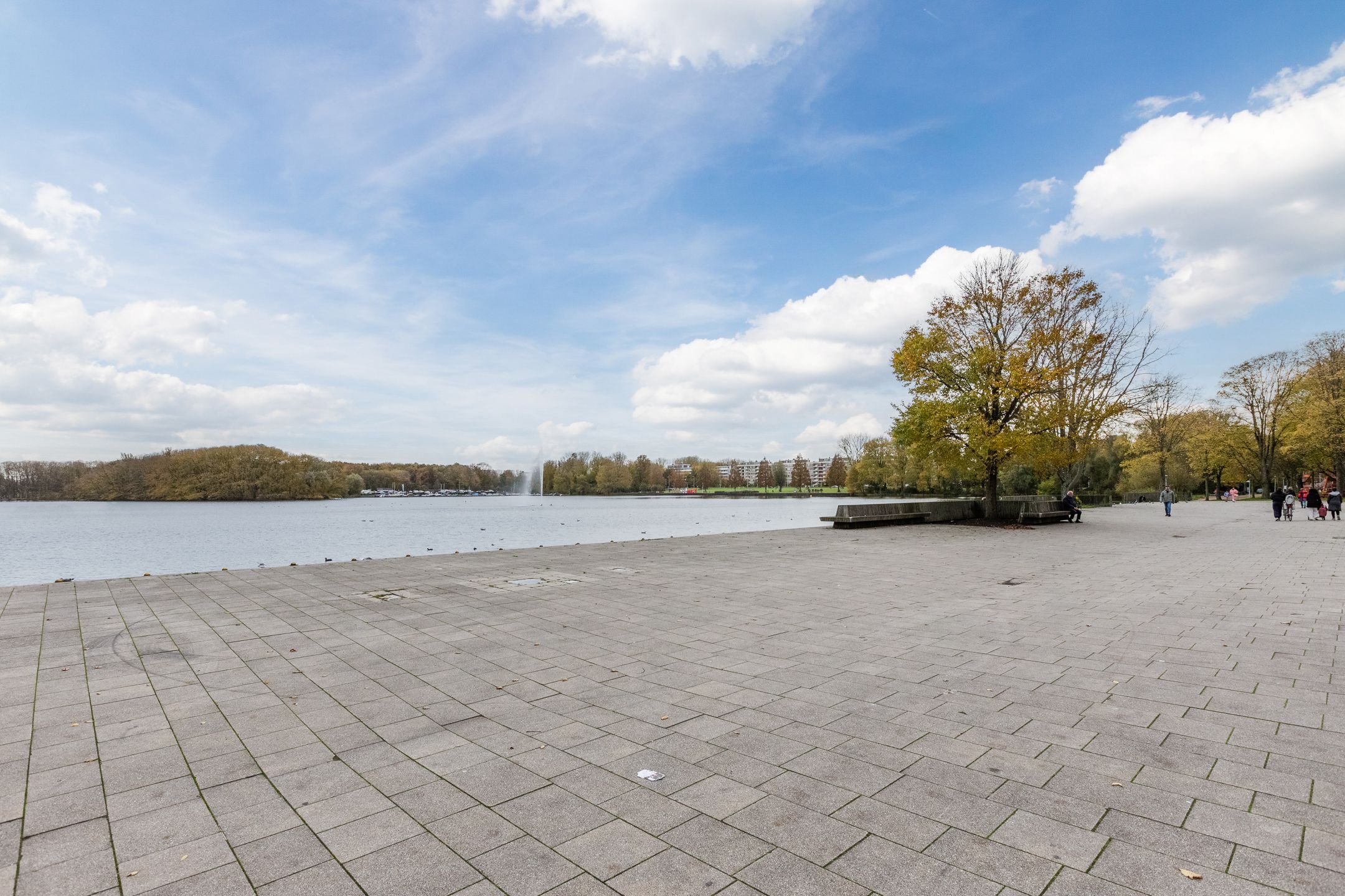 Foto 3 van Vrijburg 11