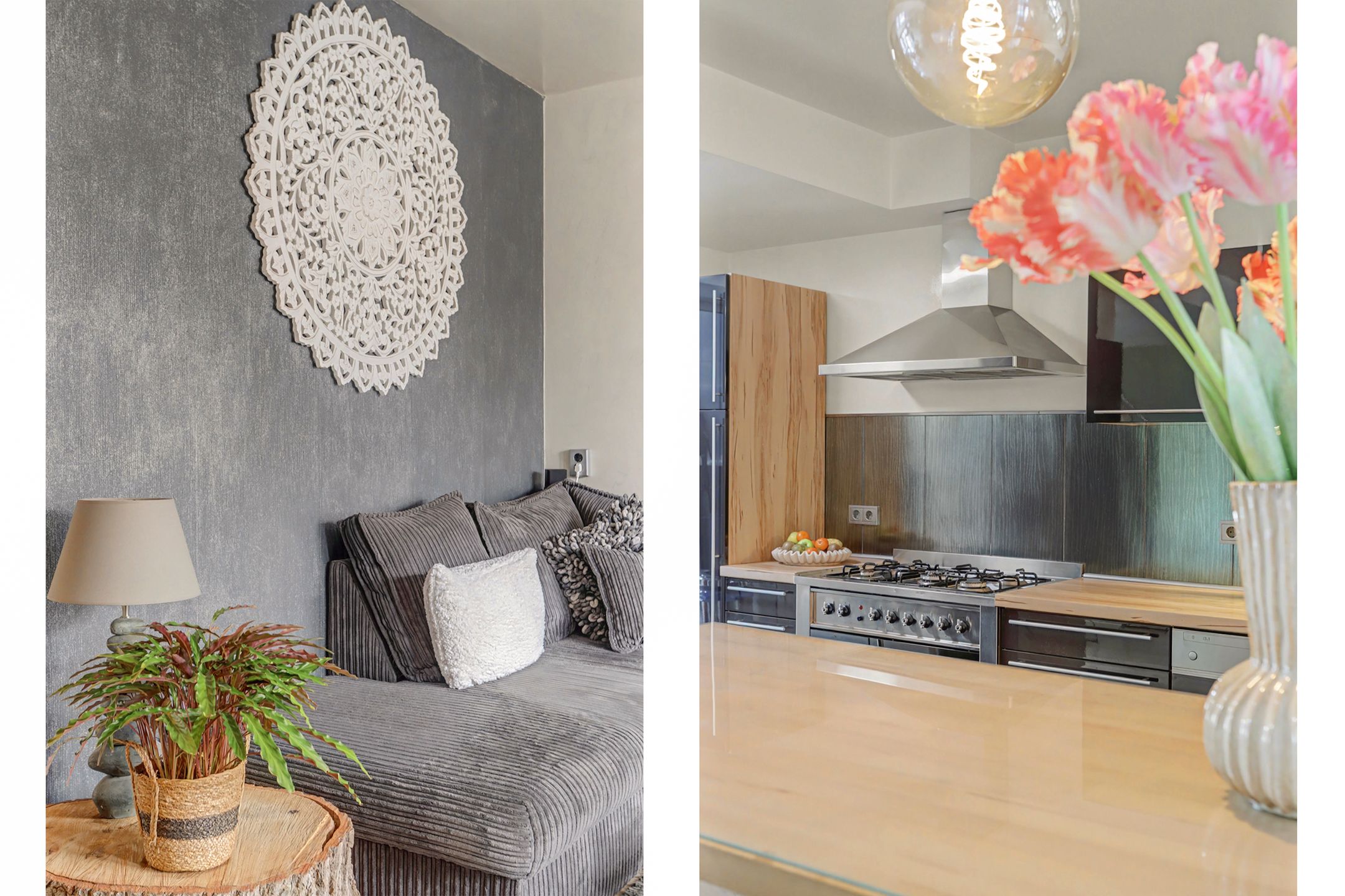 Foto 15 van Pashegge 25