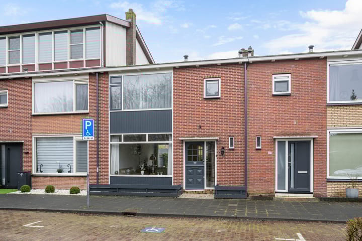 van Oostervantstraat 19