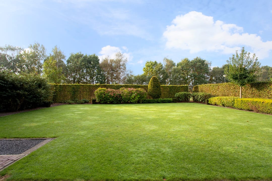 Foto 2 van Heesterik 4