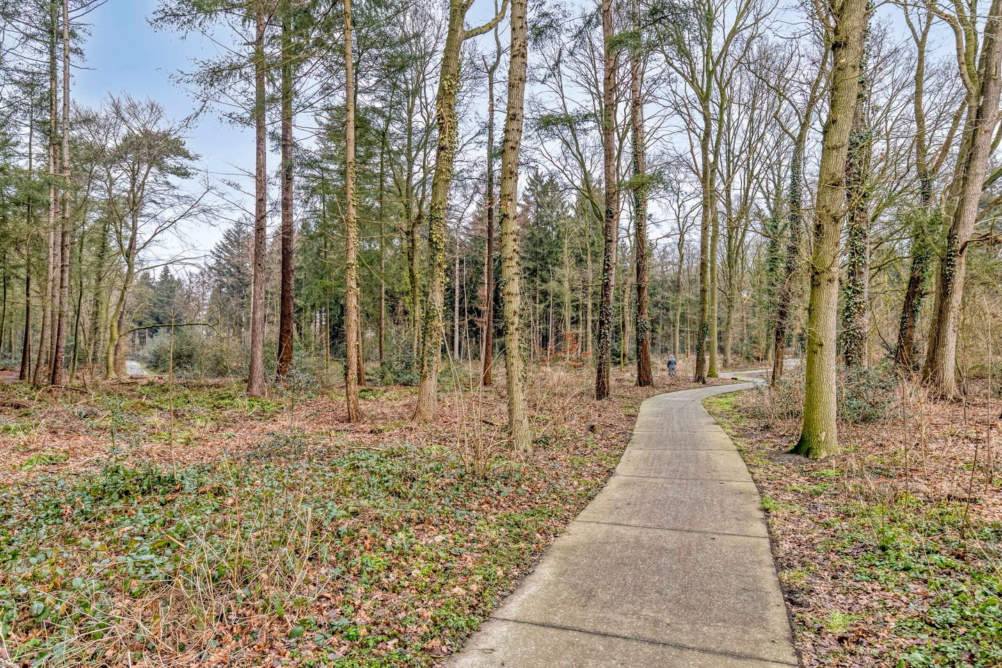 Foto 64 van E. van Drielststraat 67