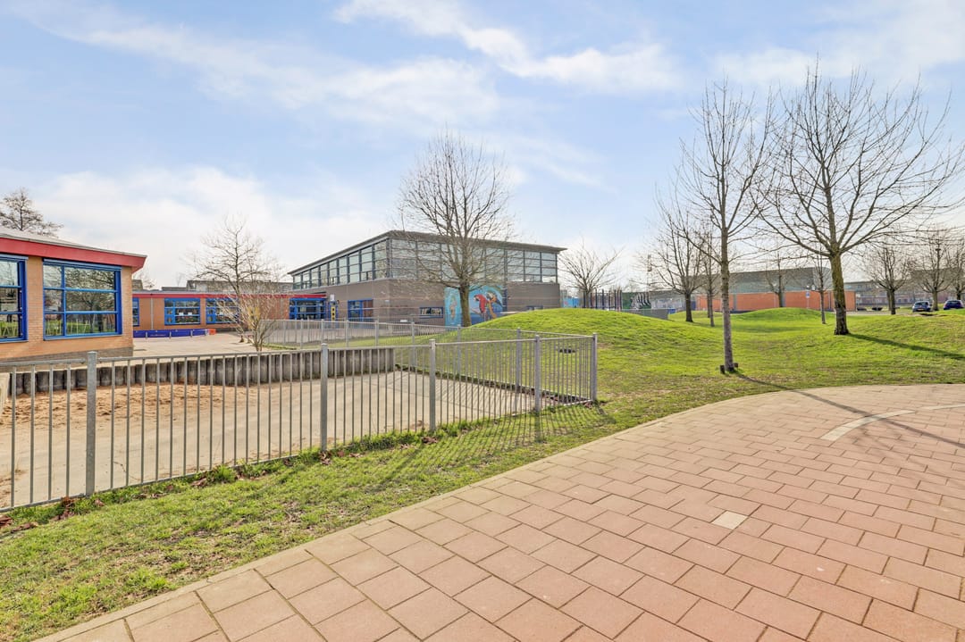 Photo 58 of Diemewei 4506