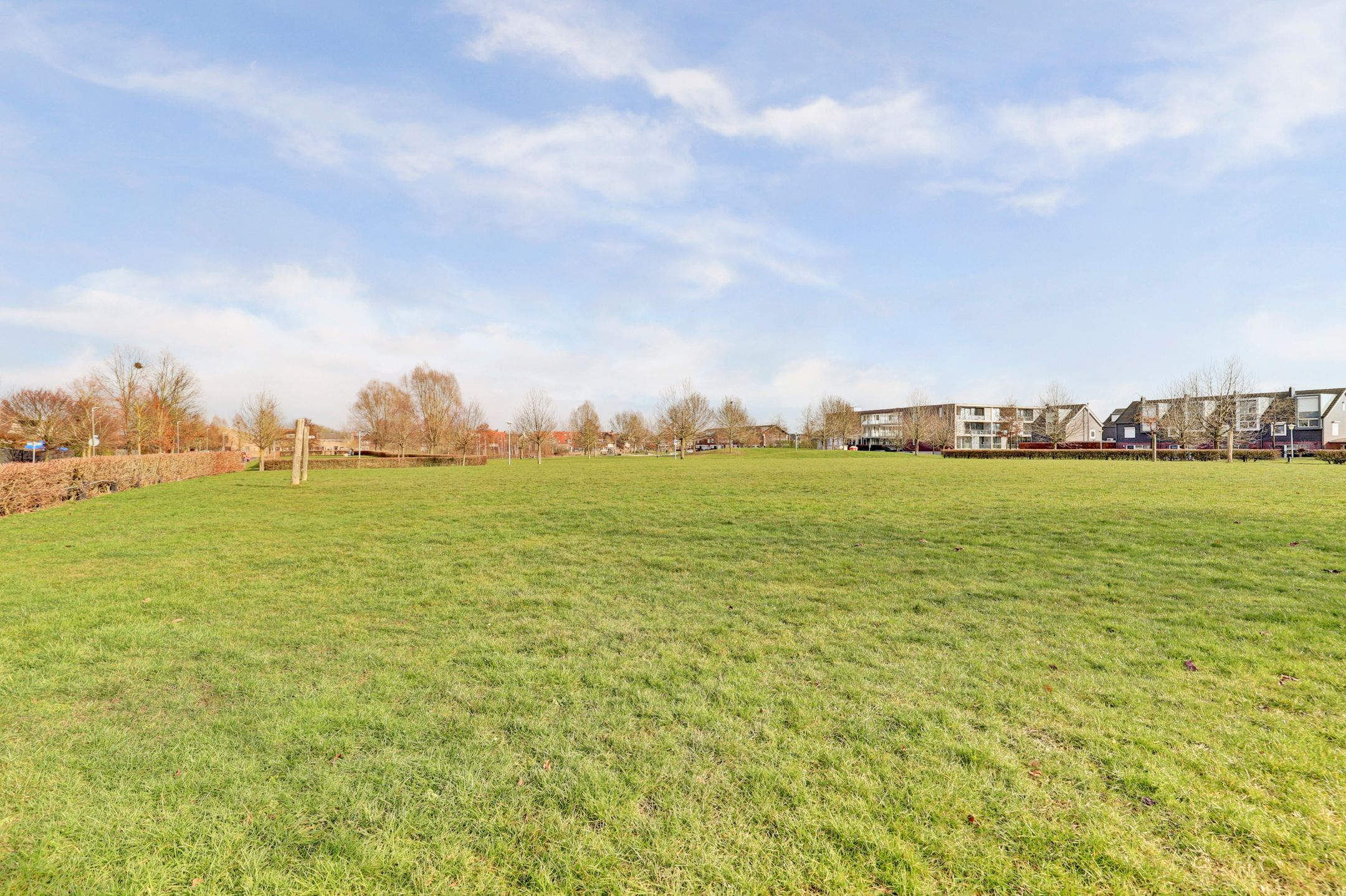 Photo 60 of Diemewei 4506