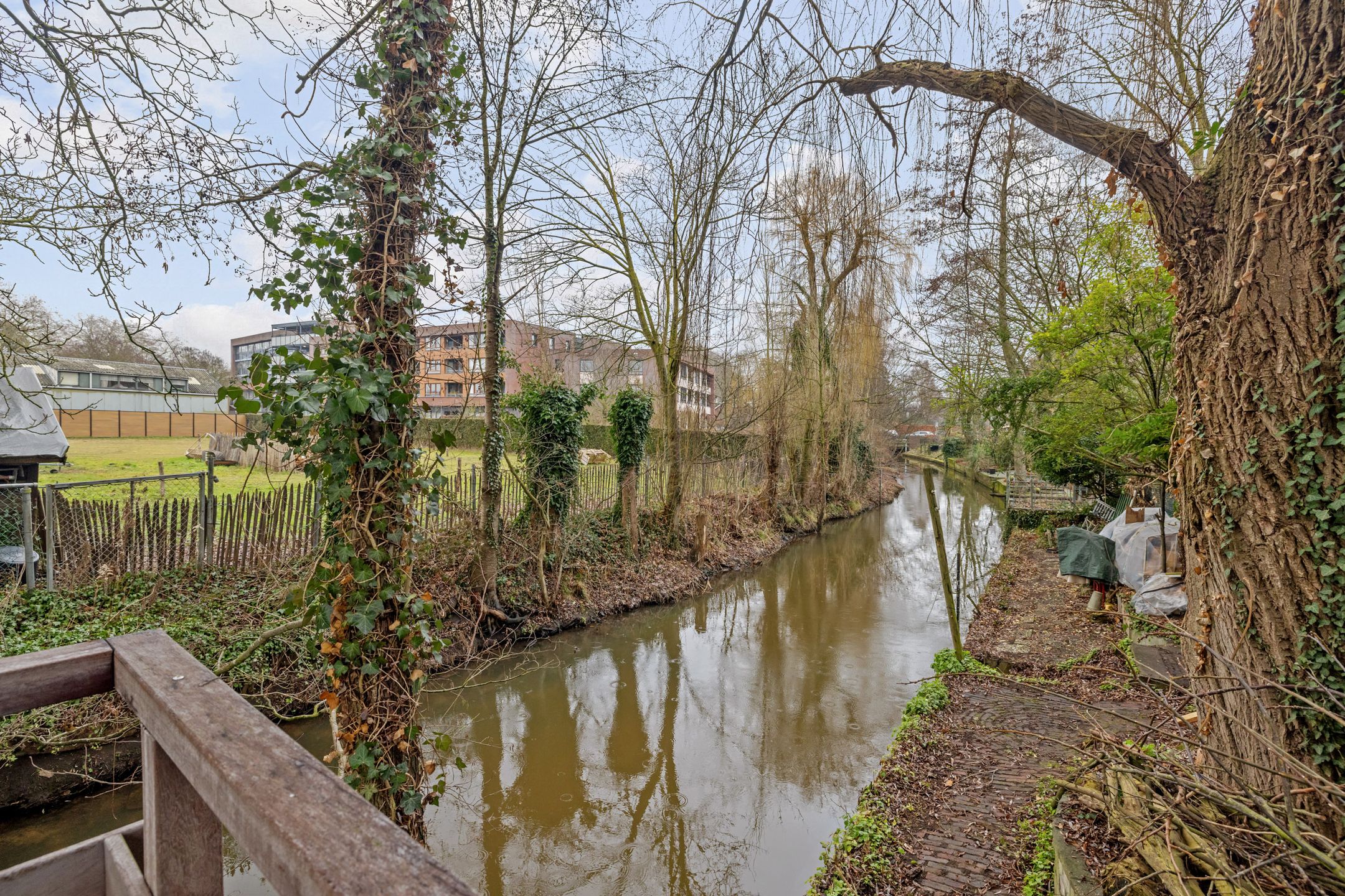 Foto 36 van Baroniestraat 46-09