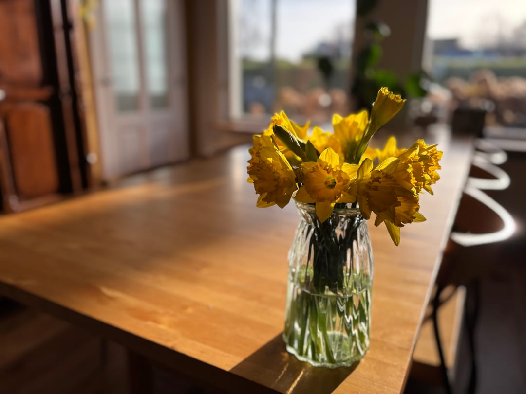 Photo 22 of Molendijk 34