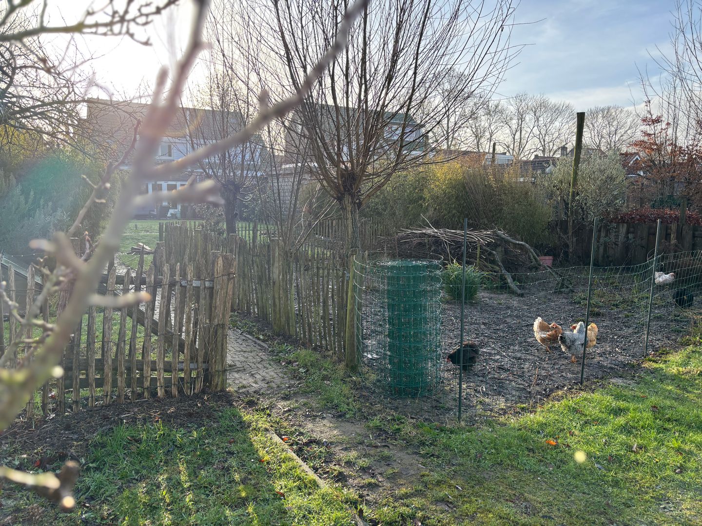 Photo 50 of Molendijk 34