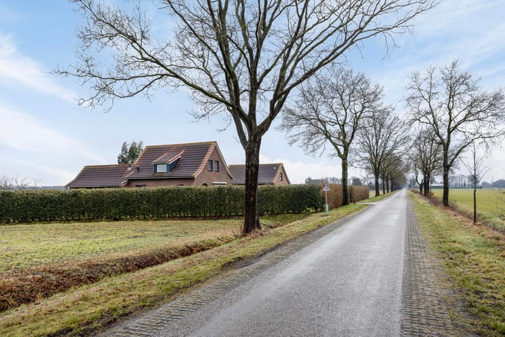 Photo 33 of Hammerdijk 1