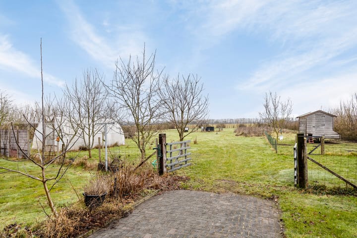 Photo 51 of Hammerdijk 1